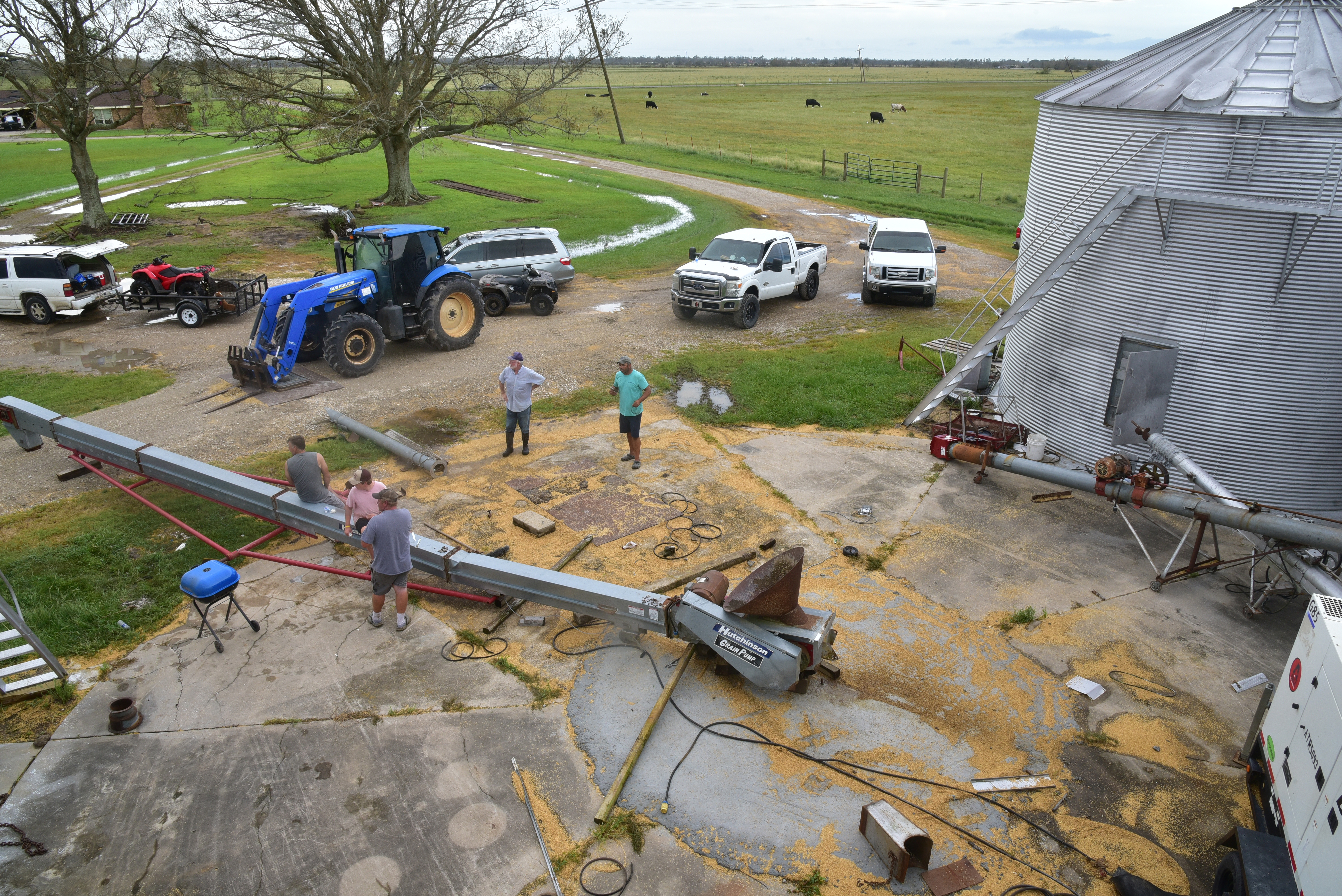 Wind, rain deal blow to harvested rice 
